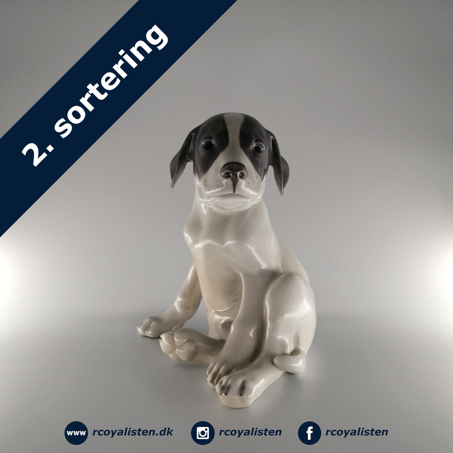 Royal Copenhagen Figur - Grå Glathåret Terrier (20 cm) - RCoyalisten.dk